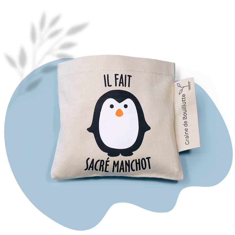 🎁 Chaufferette Pingouin -Graines de Lin (100% off)
