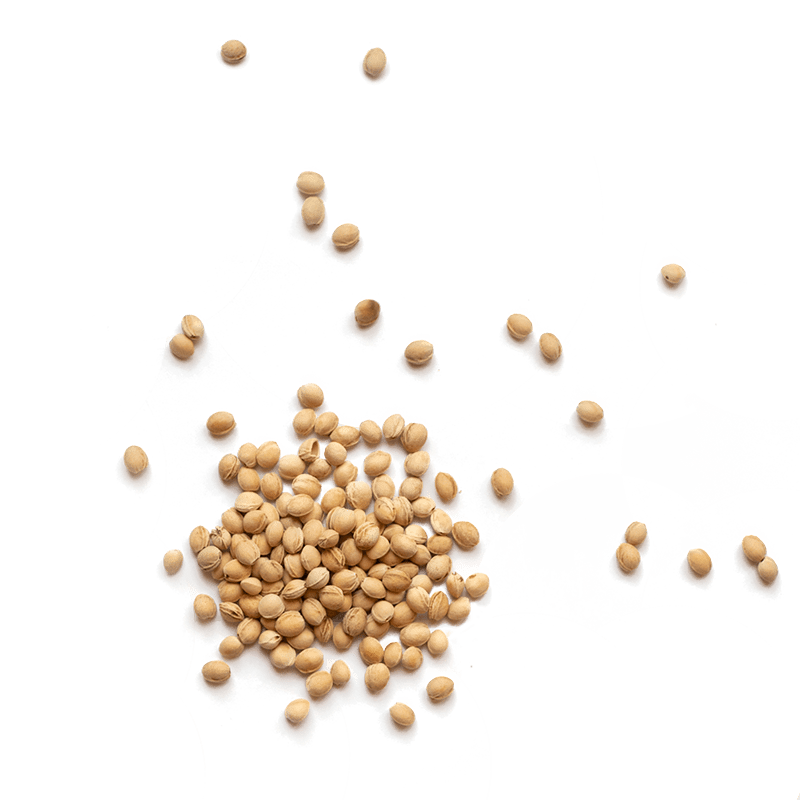 Bouillotte Sèche Cocooning -Noyaux de Cerises