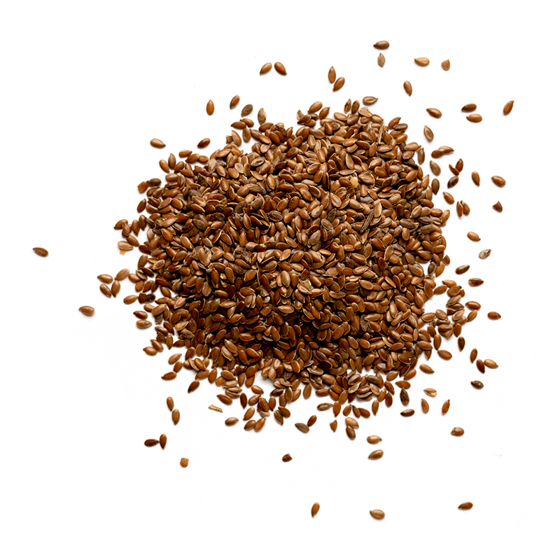 bouillotte sèche du kiné écologique en graines de lin